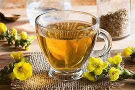 Mullein Leaf Tea- Herbal Lung Support - Wapsi Wild Root Remedies