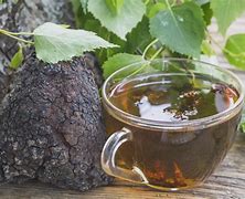 Turkey Tail Mushroom Tea