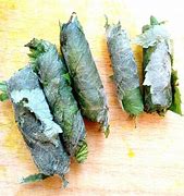 Fermented Raspberry -Wildcrafted Herbal Tea – Gut & Immune Support with a Wild Twist