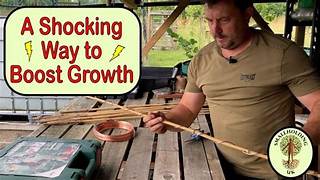 Electroculture Garden Sticks – Copper Energy Boosters for Plants 🌿⚡