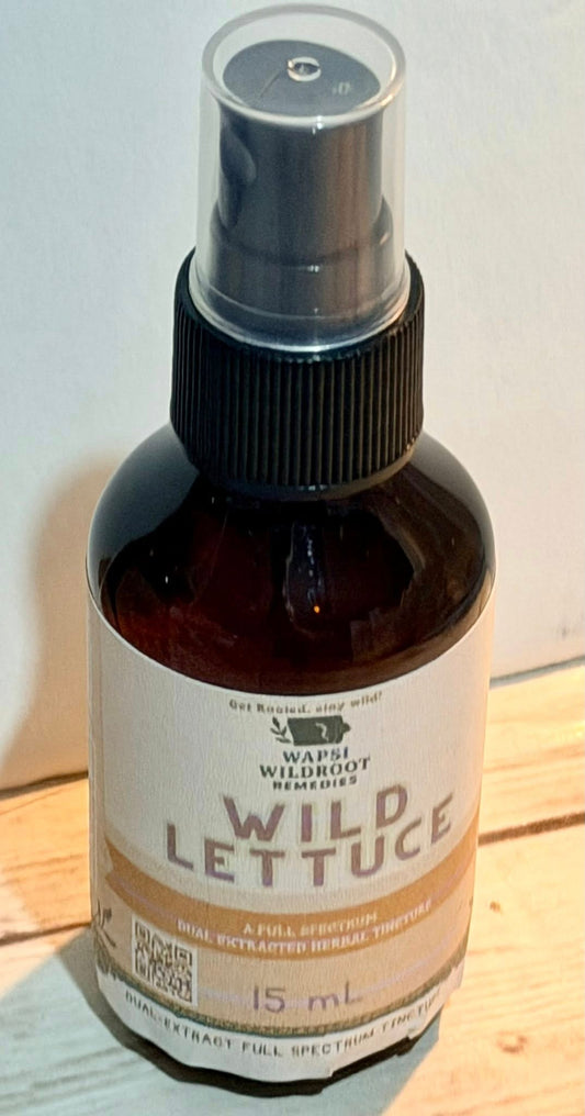 Dual Extracted Wild Lettuce – Full Spectrum Tincture (Lactuca spp.)