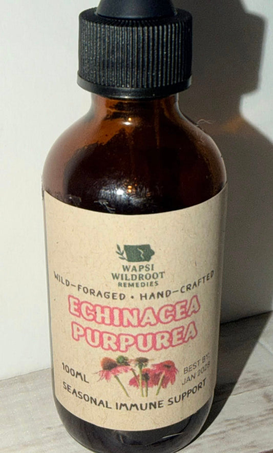 Echinacea Tincture – Immune Support & Natural Wellness