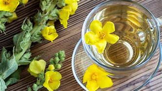 Mullein Leaf Tea- Herbal Lung Support