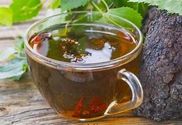 Turkey Tail Mushroom Tea