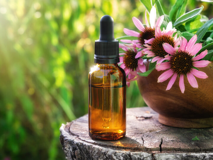 Echinacea - Wapsi Wild Root Remedies