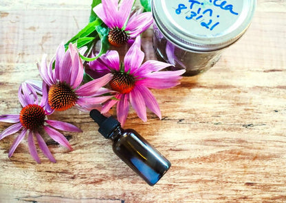 Echinacea - Wapsi Wild Root Remedies